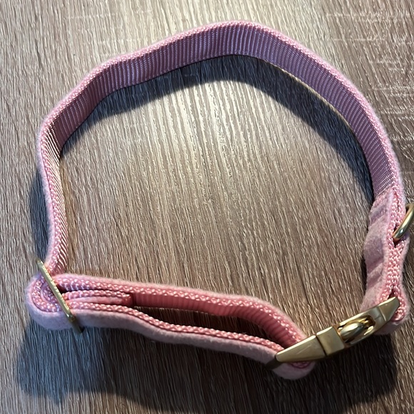Clip on dog collar - Picture 6 of 7
